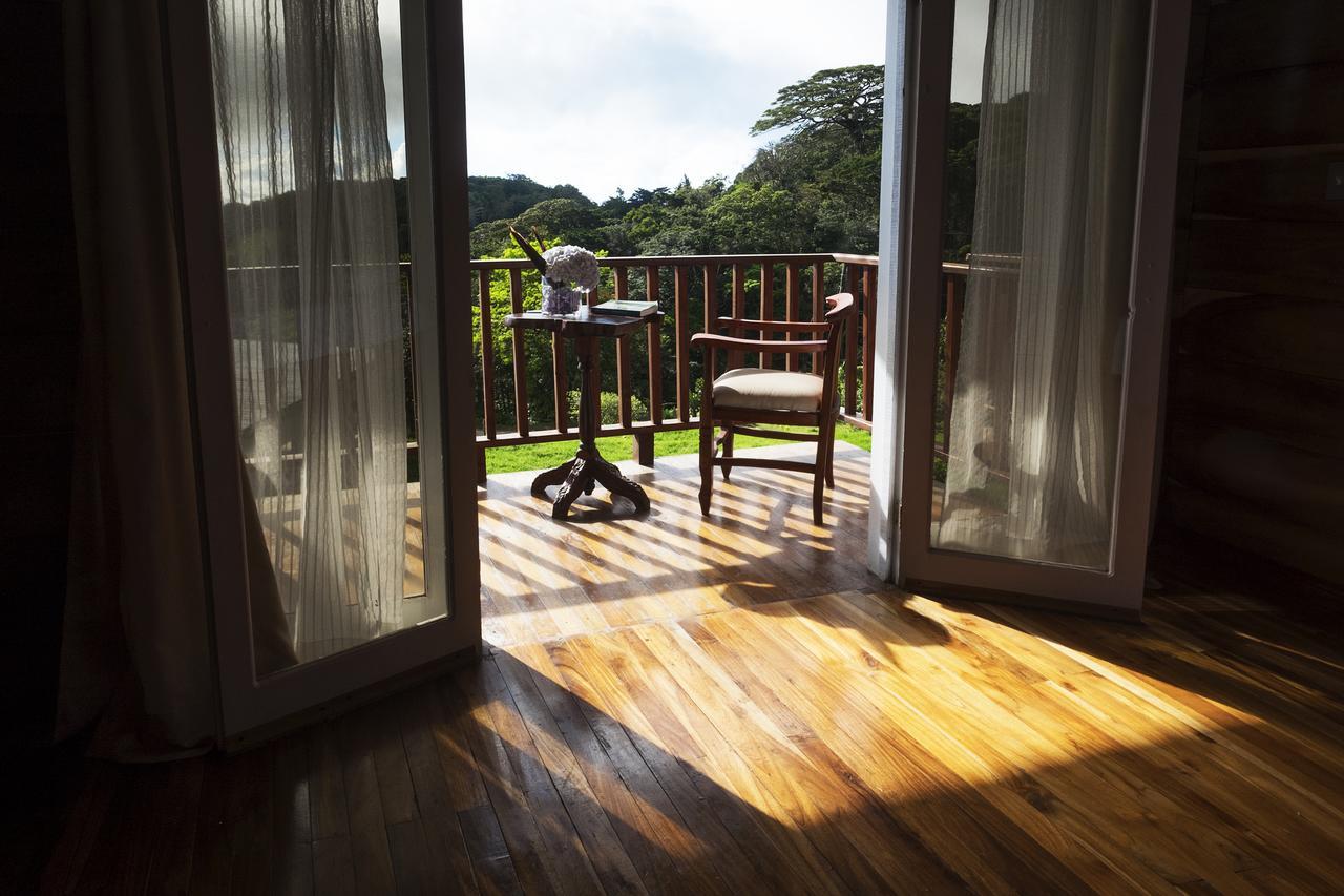 Hotel Bosque Verde Lodge Monteverde Exterior photo