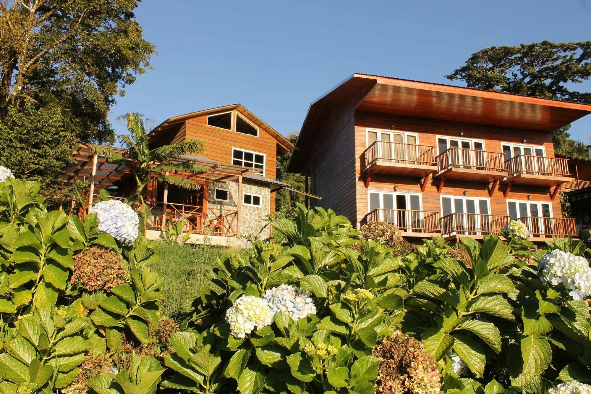 Hotel Bosque Verde Lodge Monteverde Exterior photo